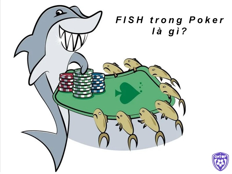 Thuật ngữ Fish trong Poker có ý nghĩa gì?