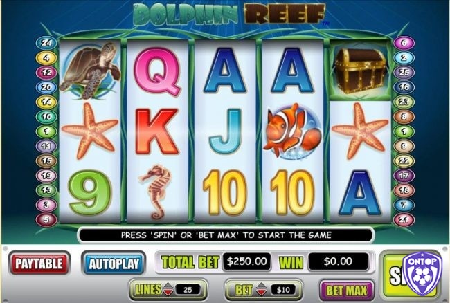 Người chơi có thể chỉnh mức cược bằng cách sử dụng các nút "+" và "-" hoặc "Bet"