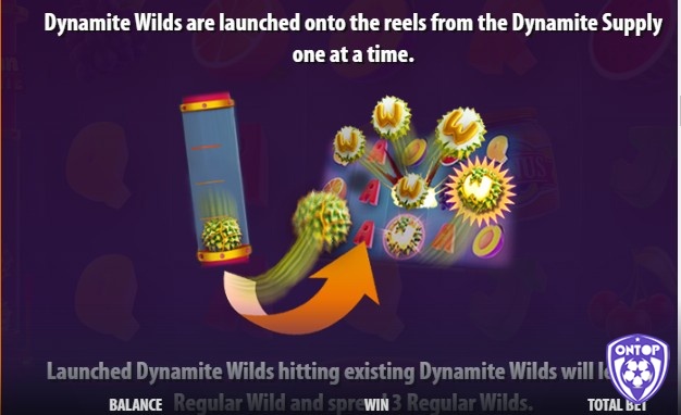 Dynamite Wild sẽ chạy trong Dynamite Launch