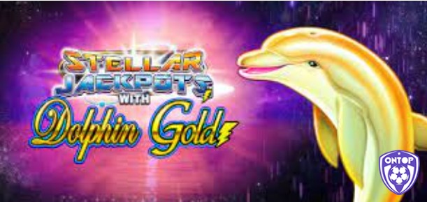 Cách chơi Dolphin Gold Stellar Jackpots Jackpot như thế nào?