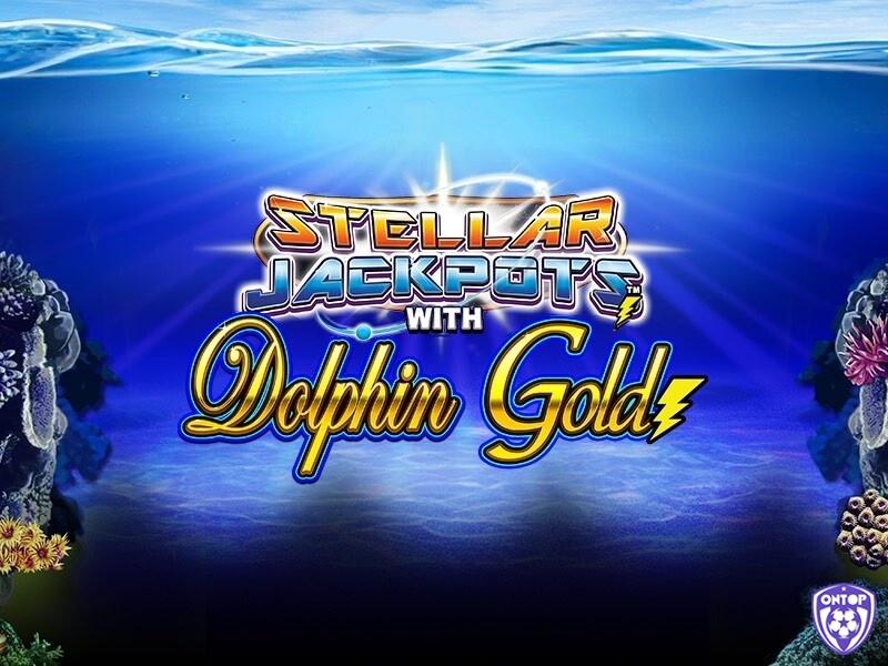 Tìm hiểu thông tin về trò chơi Dolphin Gold Stellar Jackpots Jackpot
