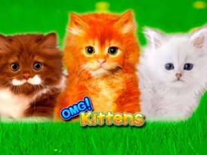 OMG Kittens: Game slot chủ đề mèo dễ thương với RTP 95,95%