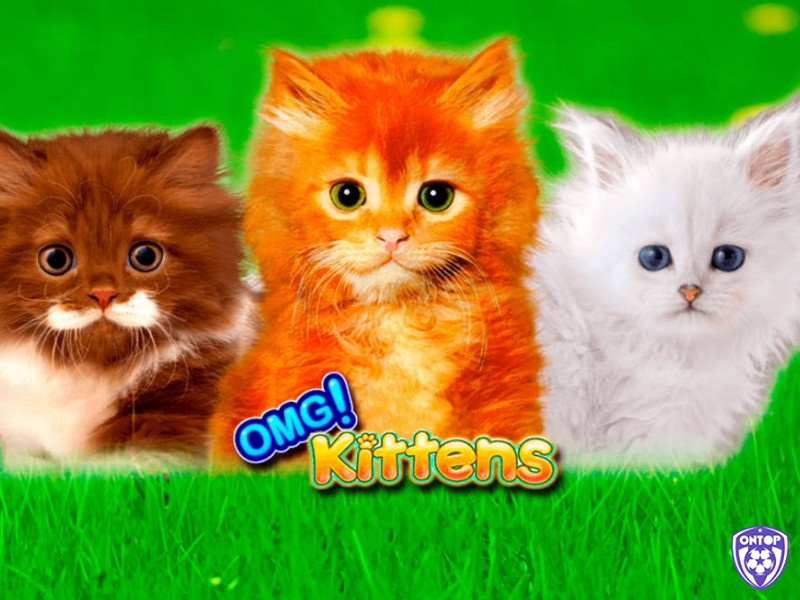 OMG Kittens là một trò chơi slot chủ đề mèo hấp dẫn