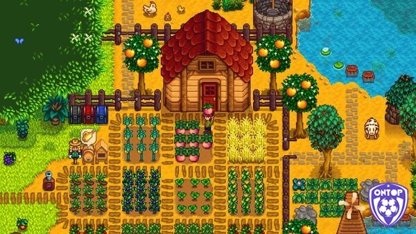 Về quê nuôi cá trồng rau trong Stardew Valley